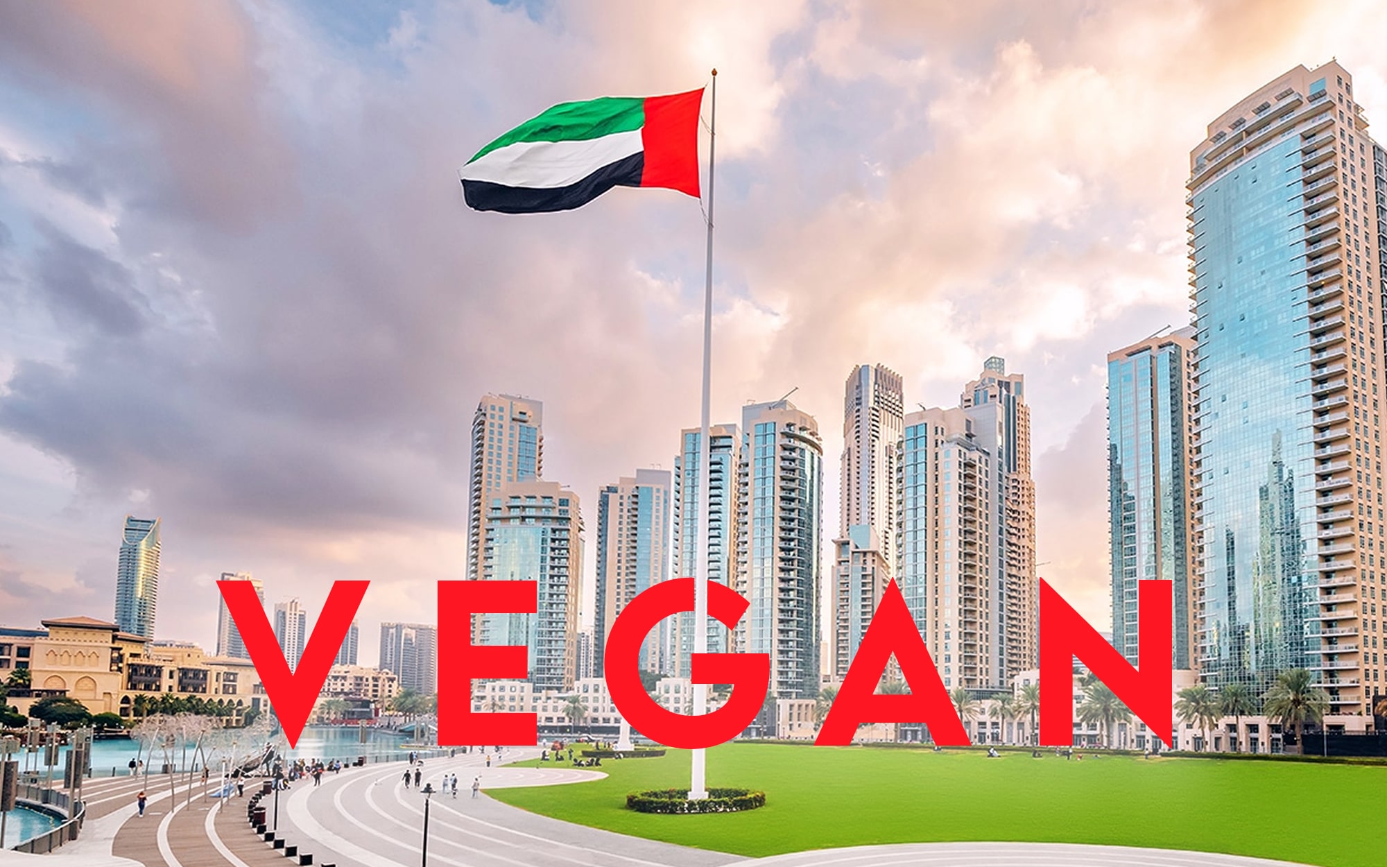 Why Vegan Snacks Are Booming in the UAE (And How Chikkiwala Fits Right In)